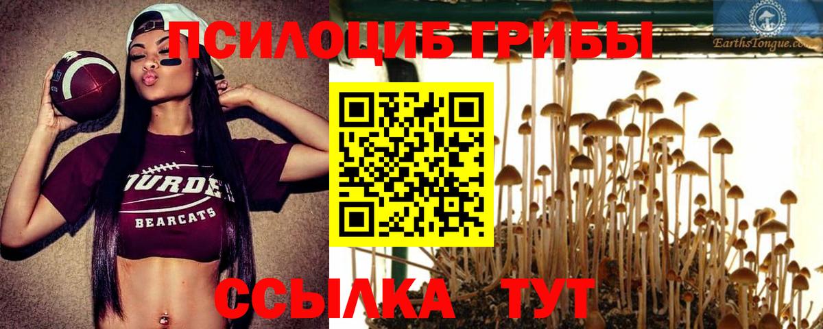 Галлюциногенные грибы ЛСД Конаково
